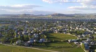 Cidade turca de Van é repleta de gatos com um olho de cada cor; entenda por quê