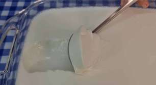 Iogurte grego caseiro: econômico, cremoso e muito fácil, igual ao de supermercado