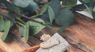 Sabonetes têm história que remonta a milhares de anos