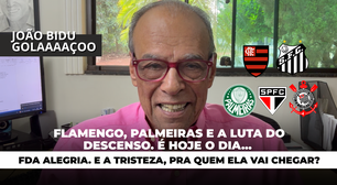 Flamengo, Palmeiras e a luta do descenso. É hoje o dia... da alegria. E a tristeza, pra quem ela vai chegar?