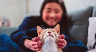 DNA revela que gatos foram domesticados muito depois do que se pensava