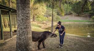 Artistas dão voz a histórias reais de tráfico de animais silvestres