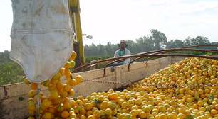 Fundo de pensão canadense vira sócio da Citrosuco
