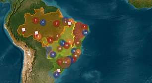 O 'mapa do caminho' da restauração: nova plataforma vai ajudar recuperação de florestas
