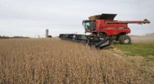 Indianos Cancelam Compra de Soja após Alta de Preços