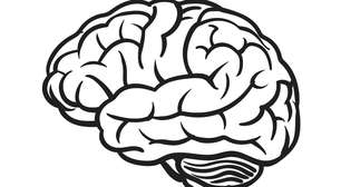 Inflamação no cérebro: a peça que faltava para explicar o Alzheimer