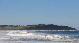 Tubarão-branco mata surfista e choca testemunha: 'Enorme'