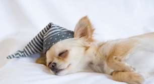 3 passos para ter uma noite de sono bem mais tranquila