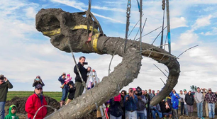 Agricultores descobrem fóssil de mamute de 15 mil anos