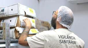 Vigilância Sanitária de Suzano interdita restaurante após encontrar 1,5 tonelada de produtos vencidos