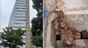 Cupins infestam edifício e construtora é condenada a indenizar moradores