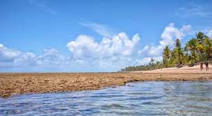 Península de Maraú: dicas para viajar tranquilo pelo sul da Bahia