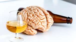 Estudo revela a partir de qual quantidade o álcool prejudica o seu cérebro