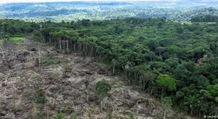 União Europeia aprova novo adiamento de lei antidesmatamento