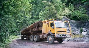 Vistos, mas não esquecidos: como a ciência cidadã ajuda a documentar a biodiversidade em aldeias remotas de Bornéu