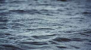 Novas e curiosas espécies são descobertas nas profundezas do mar; tem até "vermes zumbis"