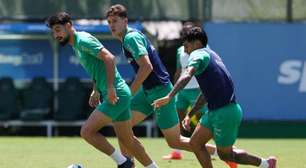 Palmeiras pode ter até sete desfalques para último jogo da temporada