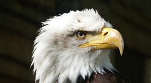 EUA confirmam que empresas de criptomoedas foram sufocadas durante governo Biden