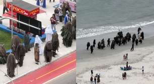 Criaturas 'misteriosas' invadem praia e causam curiosidade em Santa Catarina