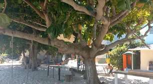 A "Praia" de São Gonçalo (RJ): Descubra a Ilha de Jurubaíba e suas curiosidades