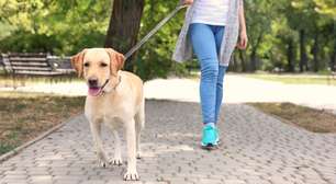 Conheça quatro benefícios da caminhada para a sua saúde