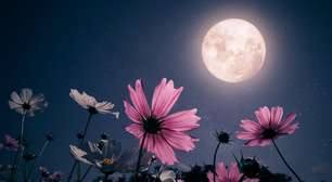 Lua Cheia e amor: é um bom período para realizar um desejo afetivo?