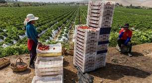 Como Peru transformou um dos desertos mais áridos do mundo em um centro de produção de alimentos