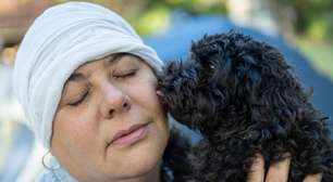 Quimioterapia e pets: saiba como manter a convivência segura