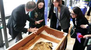 França devolve fósseis de dinossauros contrabandeados da Mongólia