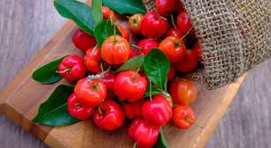 Saiba por que a árvore acerola é perfeita para quem quer frutas no quintal