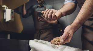 Cevada no lugar do café: uma alternativa sem cafeína e cheia de benefícios