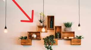 Se suas plantas não recebem luz natural, existe uma forma simples e barata de resolver isso