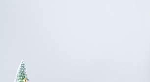 Como fazer chocotone sem lactose para o Natal