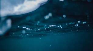 Brasileiro leva susto e por pouco não é engolido por baleia-jubarte na Noruega