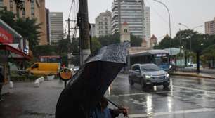 Defesa Civil de SP alerta para tempestades e ventos de até 90 km/h e ativa gabinete de crise