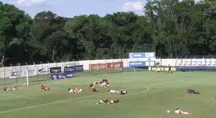 Enxame de abelhas invade campo e paralisa final sub-14 entre Flamengo e Inter no Paraná