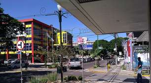 Araras vermelhas encantam moradores e turistas no Sul do Brasil