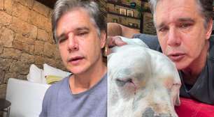 Márcio Garcia anuncia morte do cachorro da família e lamenta: 'Me senti culpado'