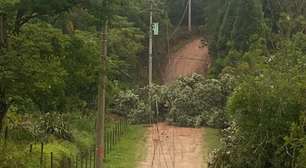 Forte chuva causa queda de árvore em Mairinque e interdita estrada