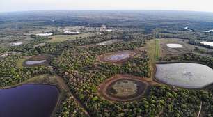 Obras para proteger a fauna do Pantanal começam na BR-262