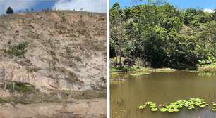 Brasileiro é premiado por reflorestar áreas degradadas