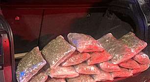 Motorista de um VW TCross é preso em Torres com 8 kg de Skank no porta-malas