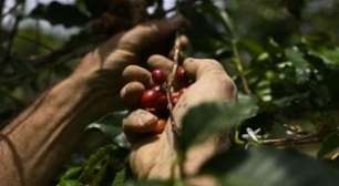 Mesmo com Receita de R$ 1,6 Trilhão, Agro Terá Pressão sobre Margens e Crédito em 2026