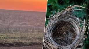 Fibra óptica: a tecnologia simples que está fazendo a Rússia vencer a guerra metro a metro