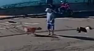 Idoso 'atropelado' por cachorro morre quatro meses após acidente em Piacatu (SP)