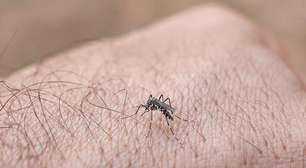 Surto de dengue e chikungunya já matou mais de 40 pessoas em Cuba