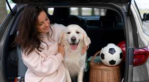 Vai viajar com o pet? Confira 8 dicas antes de fazer as malas!