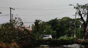 Tempestade de vento deve atingir interior de São Paulo pelas próximas horas