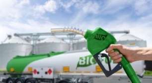 Senado Aprova Tributo Sobre Bets Com Potencial de Arrecadar R$ 30 Bilhões Ao Ano