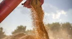 Pacote de Ajuda de Trump de US$ 12 Bilhões Não Cobre Perdas de Agricultores